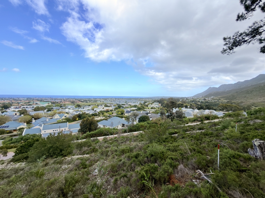 0 Bedroom Property for Sale in Hemel en Aarde Estate Western Cape